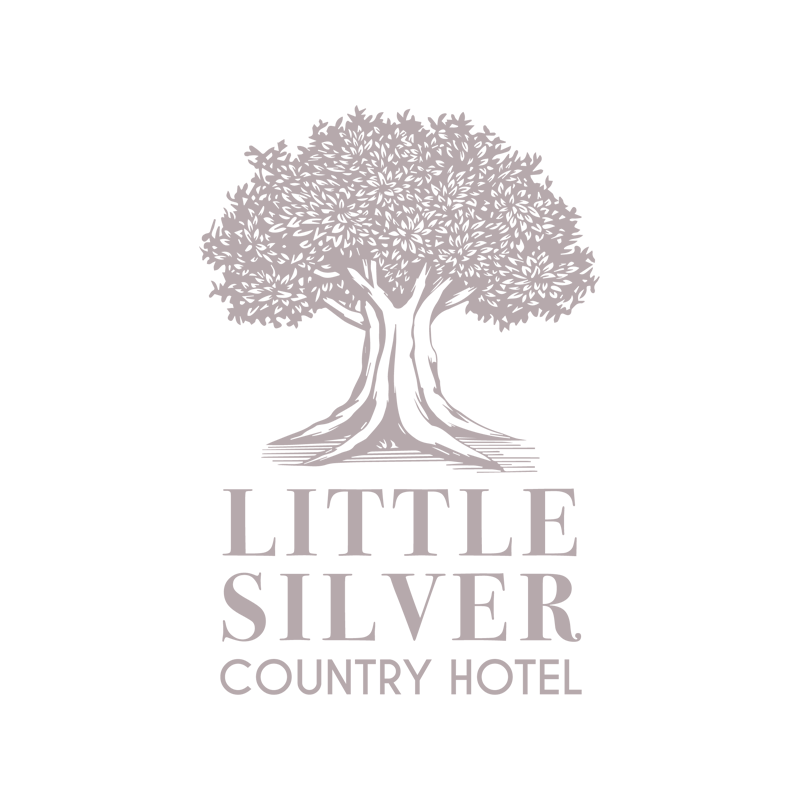Little Silver Country House